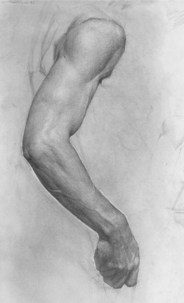 arm study graphite on paper 18 by 24(2011) crop